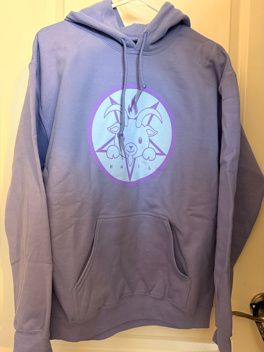 Women’s TST Purple Baphomet Hoodie Size Medium NWOT